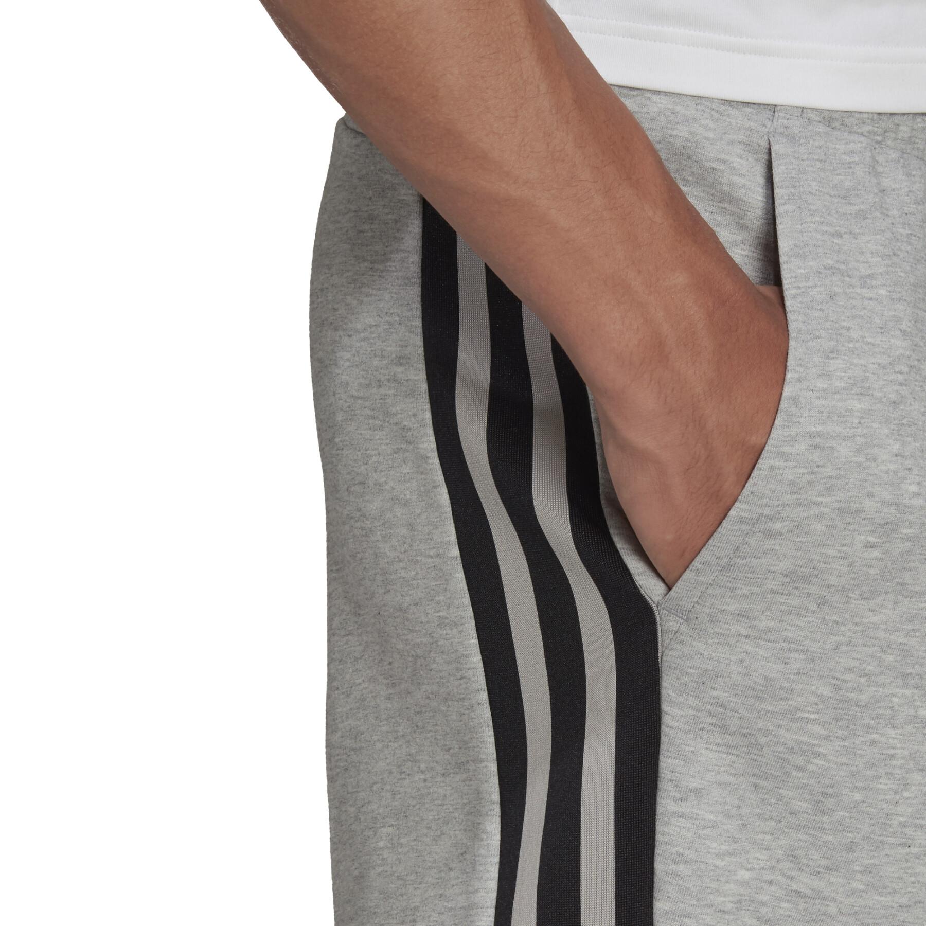 Breve adidas Sportswear Future Icons 3-Stripes
